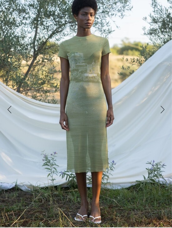 Esthe Dresses & Skirts - Esthe Sheer Olive Green Graphic Midi Dress